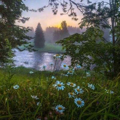 安吉房产信息截图